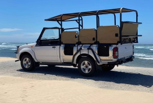 Schotia: otwarty jeep safari — wycieczka poranna lub popołudniowa