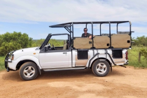 Schotia: otwarty jeep safari — wycieczka poranna lub popołudniowa