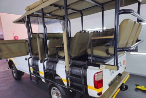 Schotia: otwarty jeep safari — wycieczka poranna lub popołudniowa