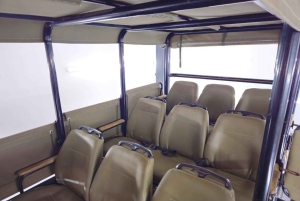 Schotia: otwarty jeep safari — wycieczka poranna lub popołudniowa