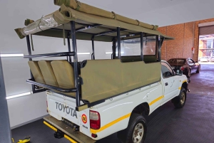 Schotia: otwarty jeep safari — wycieczka poranna lub popołudniowa