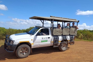 Schotia: otwarty jeep safari — wycieczka poranna lub popołudniowa