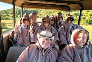 Schotia: otwarty jeep safari — wycieczka poranna lub popołudniowa