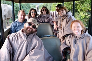 Schotia: otwarty jeep safari — wycieczka poranna lub popołudniowa