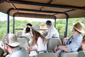 Schotia: otwarty jeep safari — wycieczka poranna lub popołudniowa