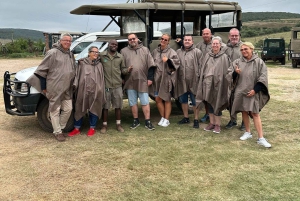 Schotia: otwarty jeep safari — wycieczka poranna lub popołudniowa