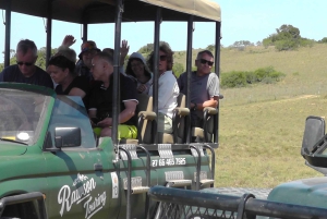 Schotia Safaris: Best Wildlife Encounters in Port Elizabeth