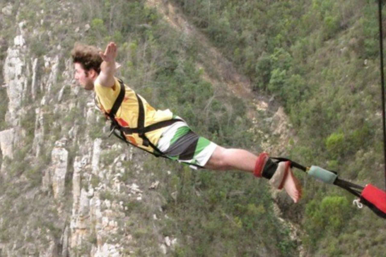 Prywatna wycieczka Tsitsikamma - całodniowa