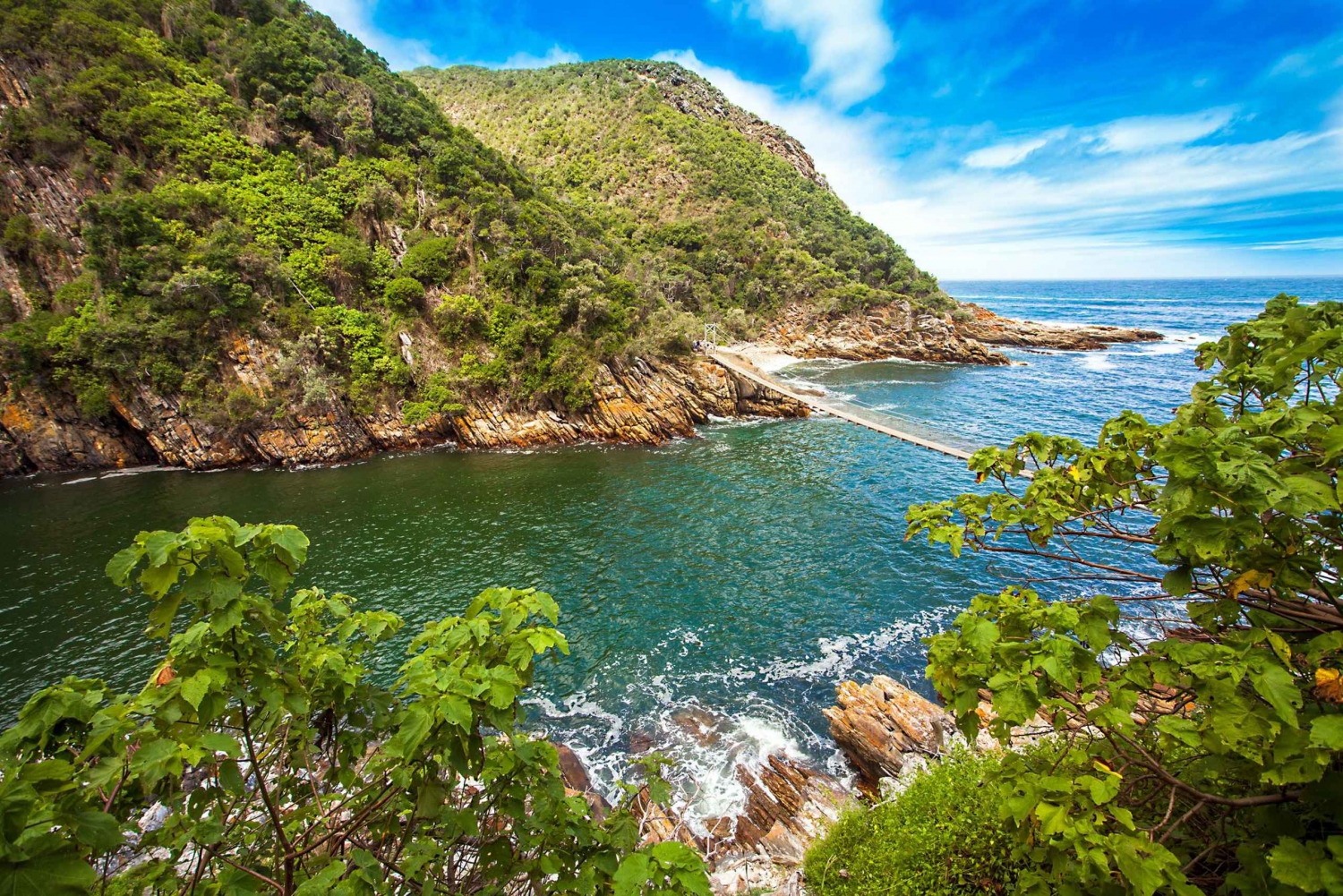 Tsitsikamma: Zipline & Storms River Mouth private Tour