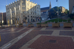 Экскурсия по заповеднику Крагга Камма [автобус/автомобиль: Порт-Элизабет]