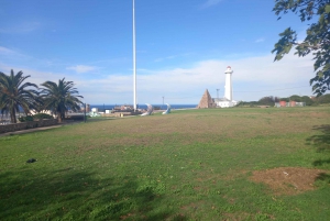 Экскурсия по заповеднику Крагга Камма [автобус/автомобиль: Порт-Элизабет]