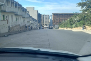 Экскурсия по заповеднику Крагга Камма [автобус/автомобиль: Порт-Элизабет]