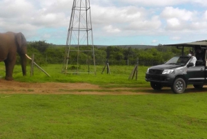 Частный заповедник Schotia Safaris: Порт-Элизабет