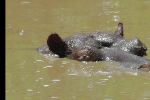 Частный заповедник Schotia Safaris: Порт-Элизабет