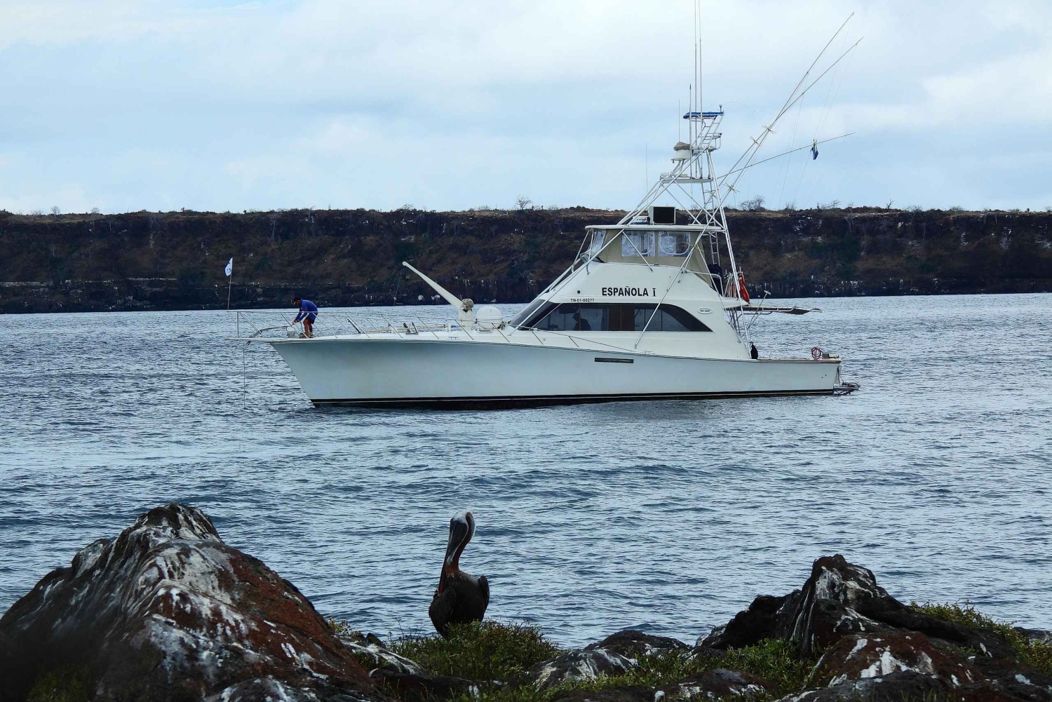 3 päivän Galapagos-matka matkailijoille, joilla ei ole paljon aikaa