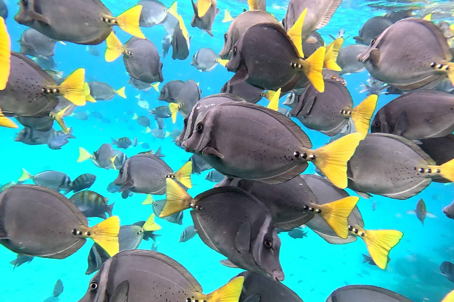 Puerto Baquerizo Moreno: 360 San Cristobal Island Day Tour