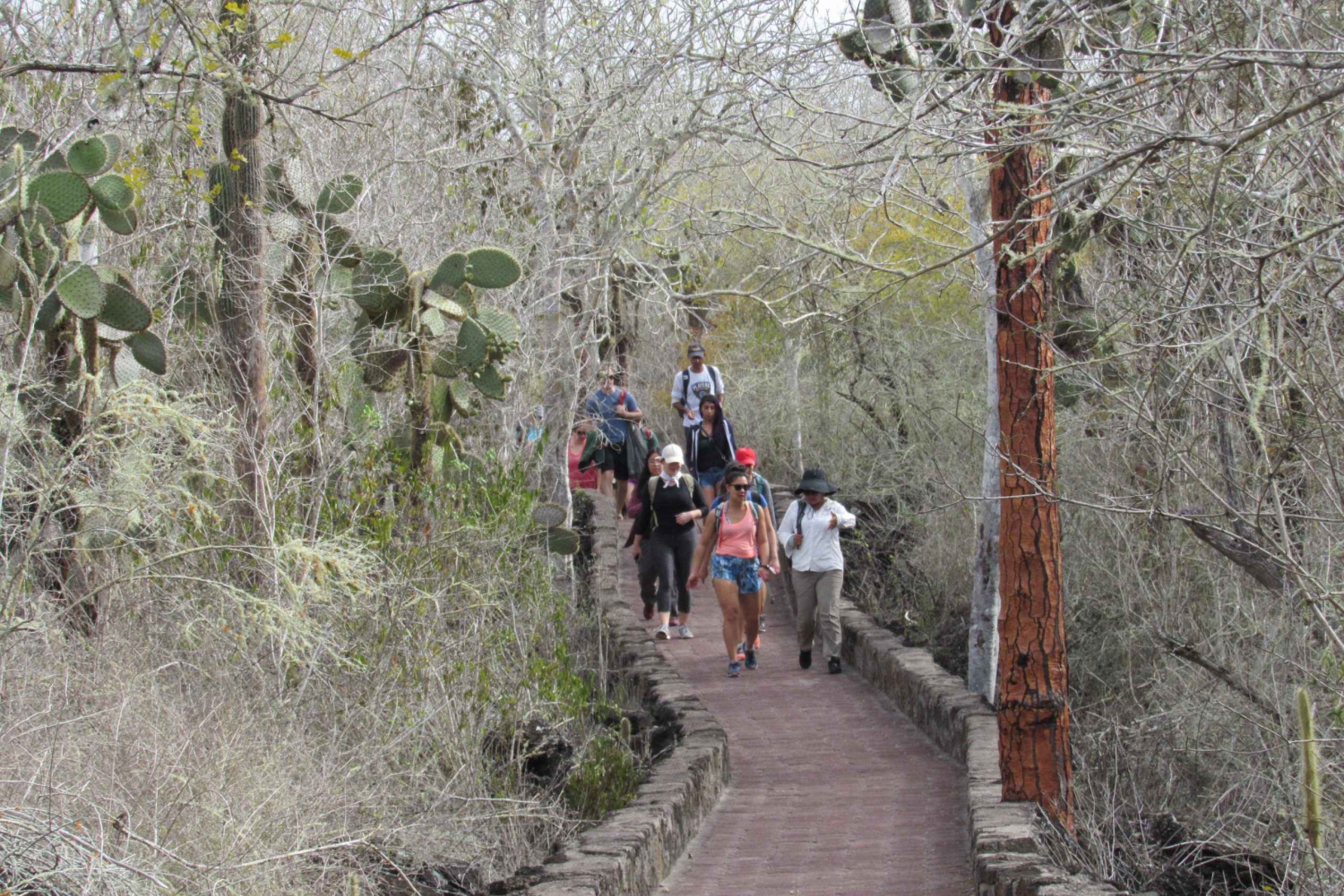 4-dagers landtur på Galapagos