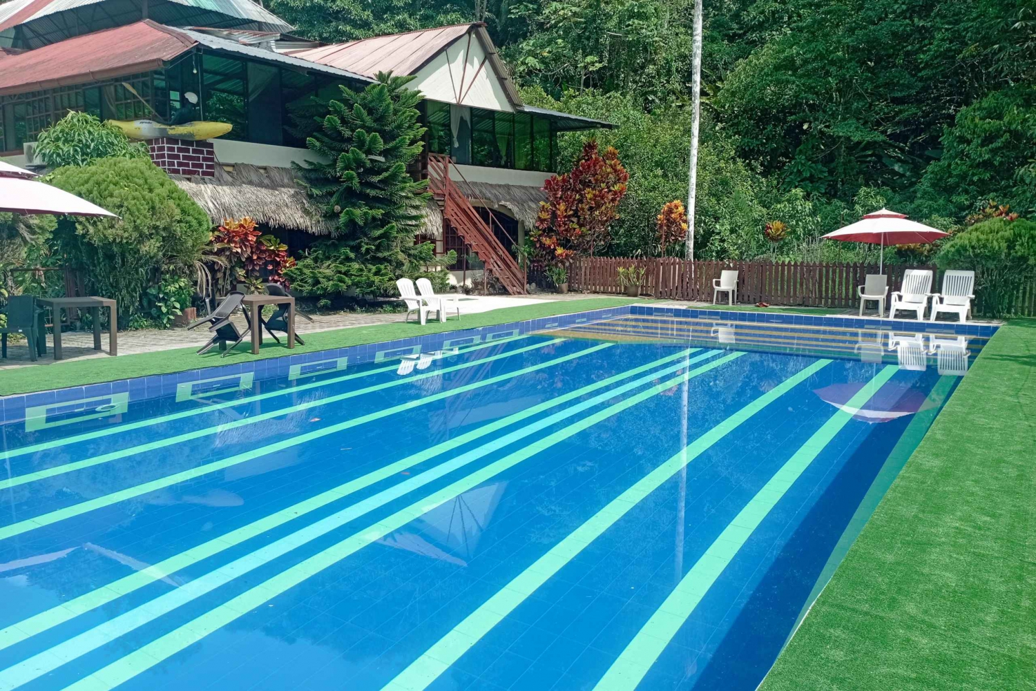 4 jours de visite de la jungle Expedition Amazonia All Inclusive