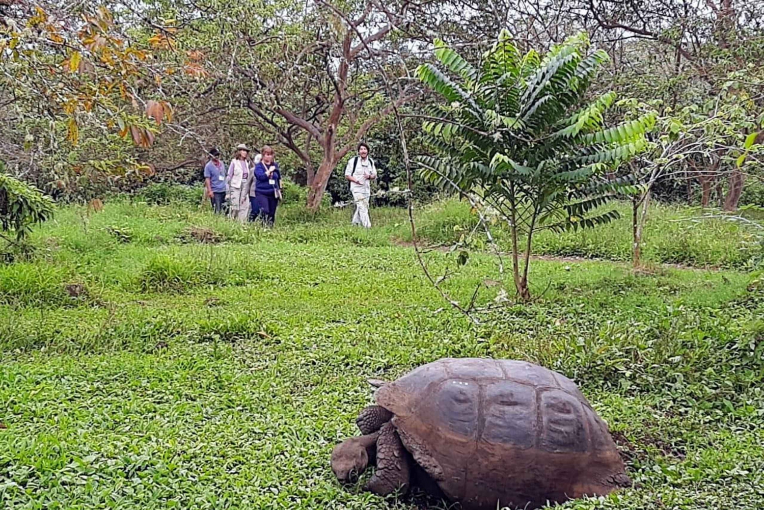 Transfer lotniskowy do Puerto Ayora wraz z wycieczką po Highlands Tour