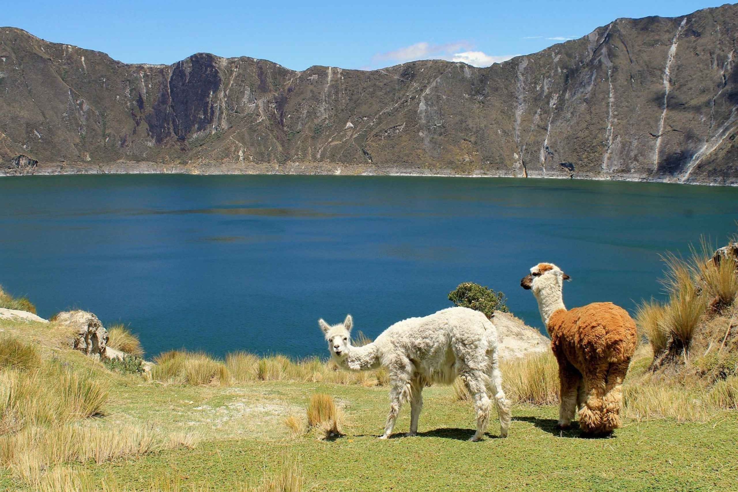 Cotopaxi & Quilotoa: twee parels van de Andes – dagtour vanuit Quito