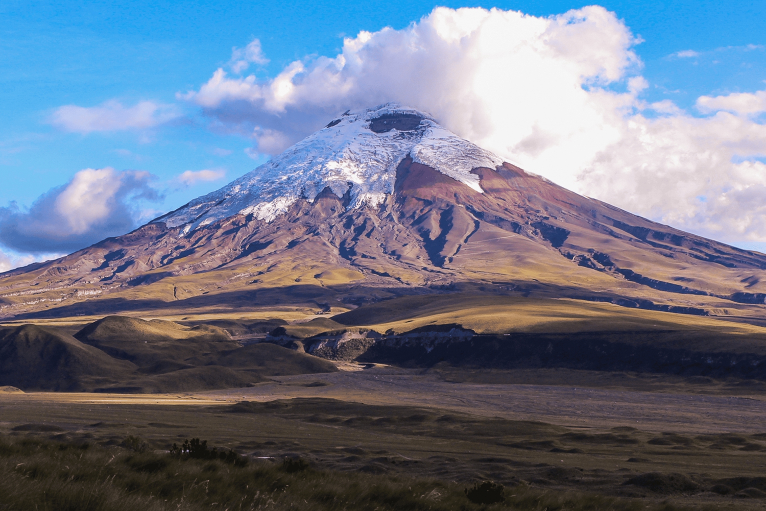 Cotopaxi 1 dagstur