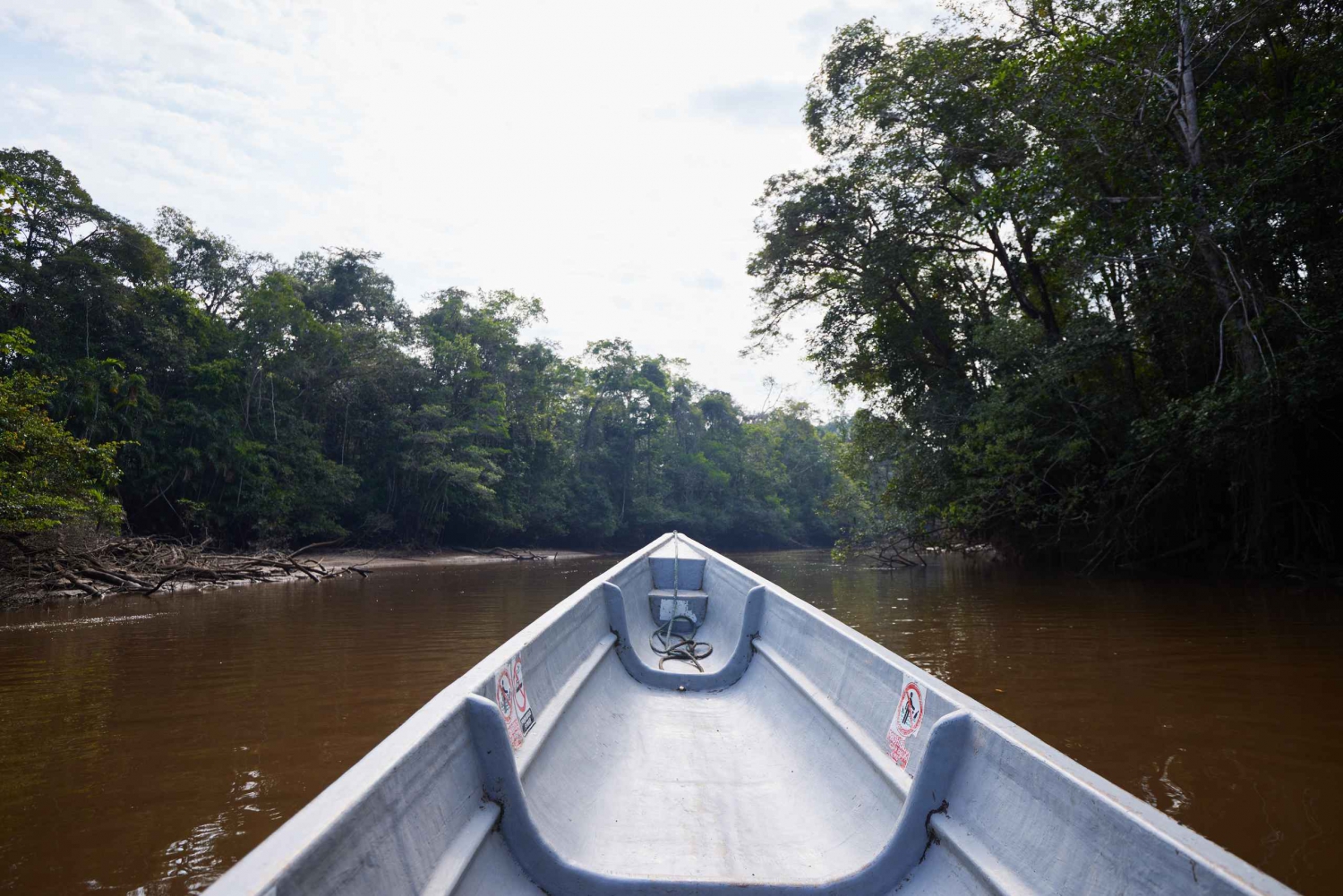 Cuyabeno: 4-dagers jungeleventyr i Amazonas med lodgeopphold