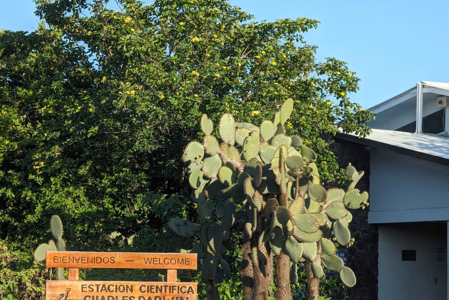 Udforsk Galápagos! Gigantiske skildpadder, tvillingekratere, tunneler og Darwin