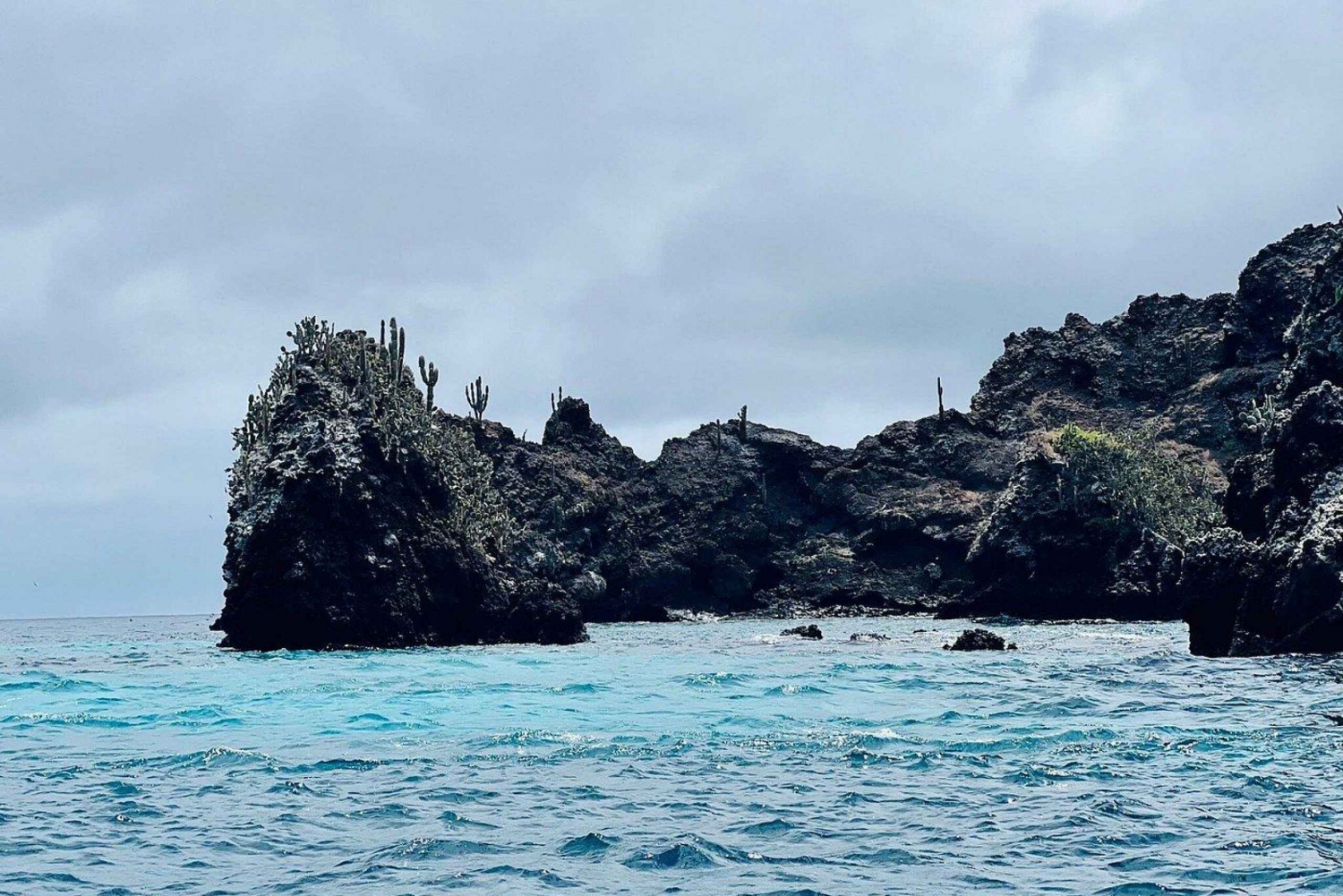 Depuis Pto Ayora : Excursion d'une journée à Floreana et Cormorant Point