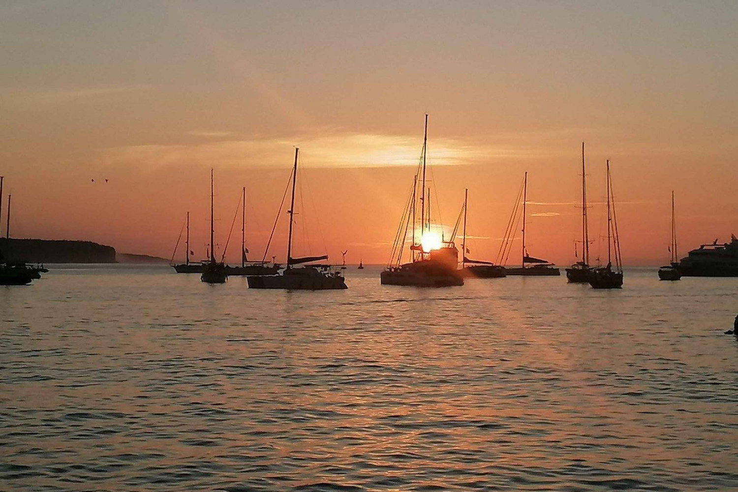 Puerto Ayorasta: Isabelan saari ja Tintorera-saari päiväretki