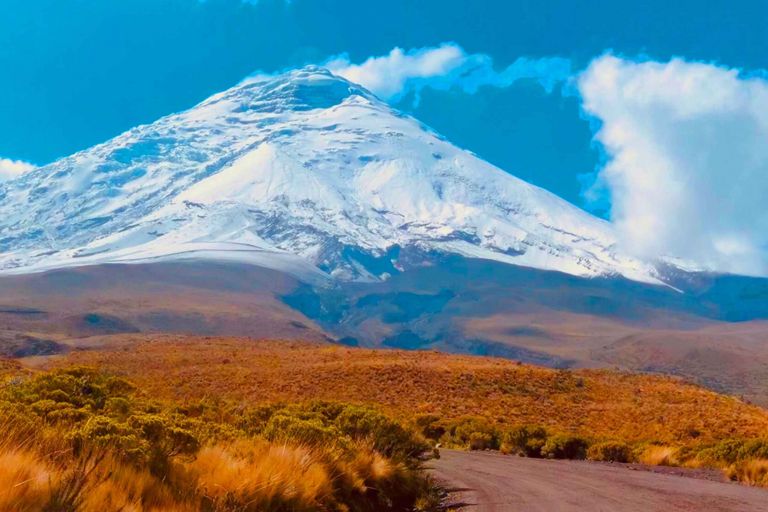 Parc national Cotopaxi : visite d'une jounée au départ de Quito