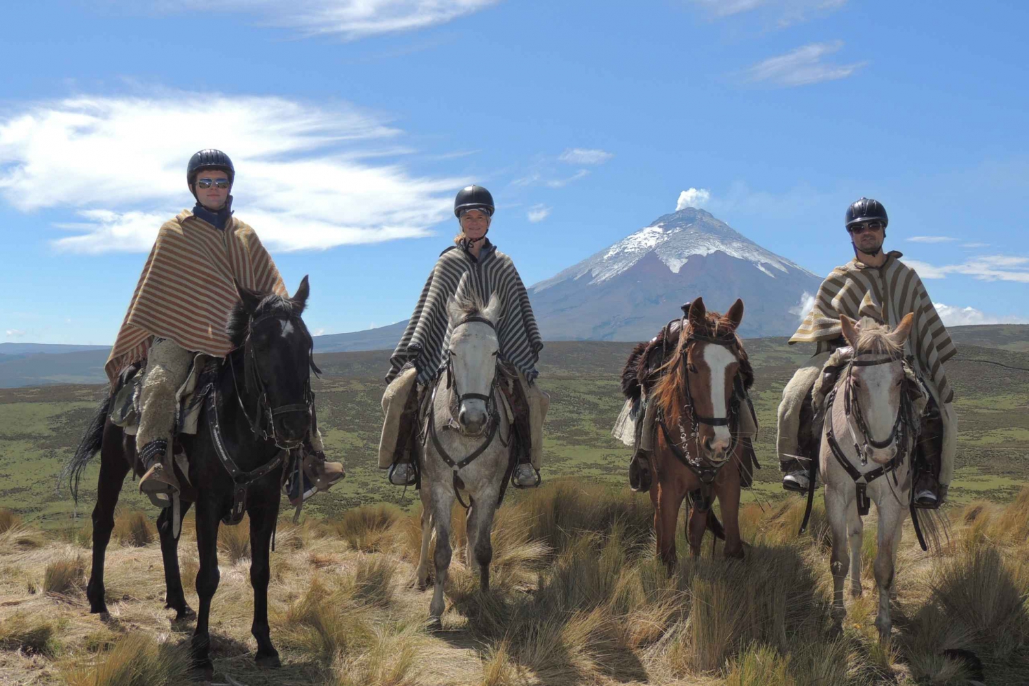 From Quito: Horseback Ride & Cotopaxi National Park Day Trip