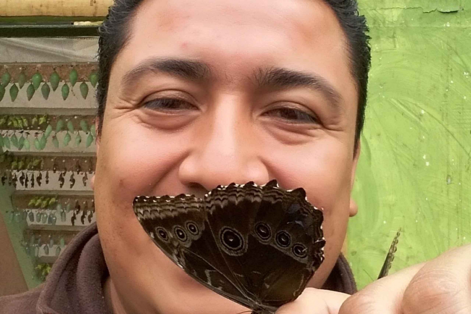 From Quito: Mindo Cloud Forest, Full Day Trip with Lunch