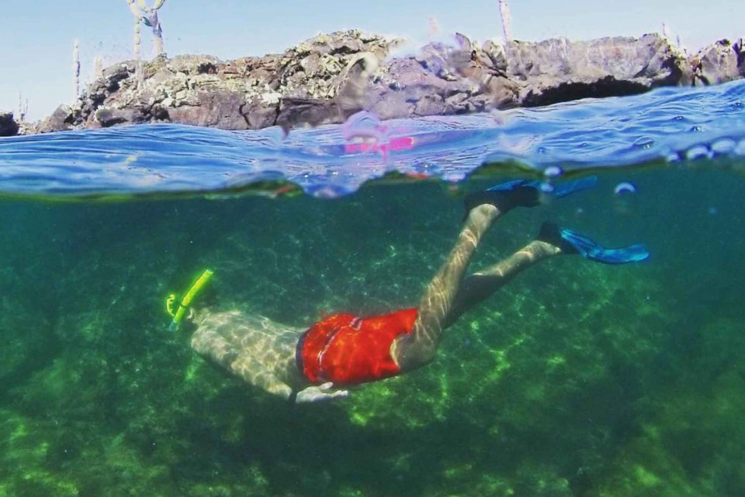 Heldagstur till lavatunnlar från Isabela Island