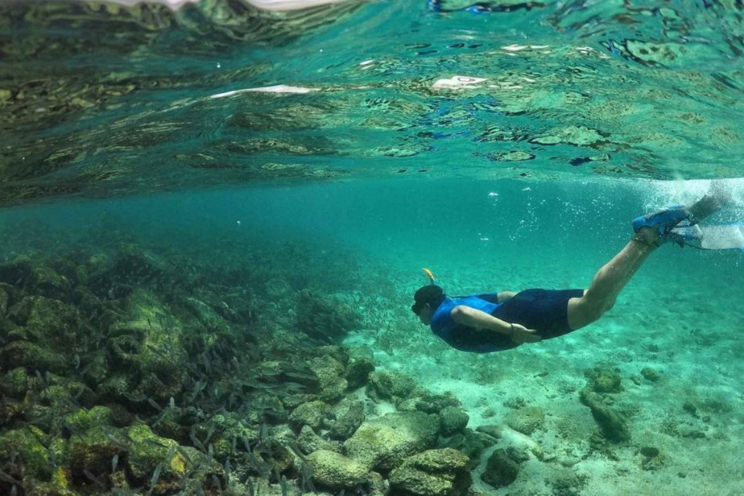 Cały dzień na wyspie Pinzon, zakończenie w la Fe ze snorkelingiem
