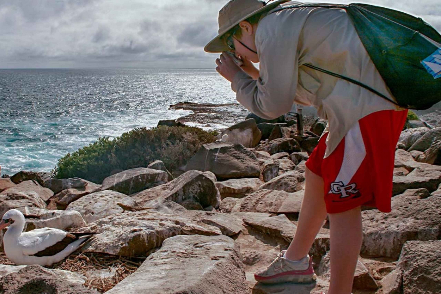 Hel dag på Seymour North Island og Las Bachas