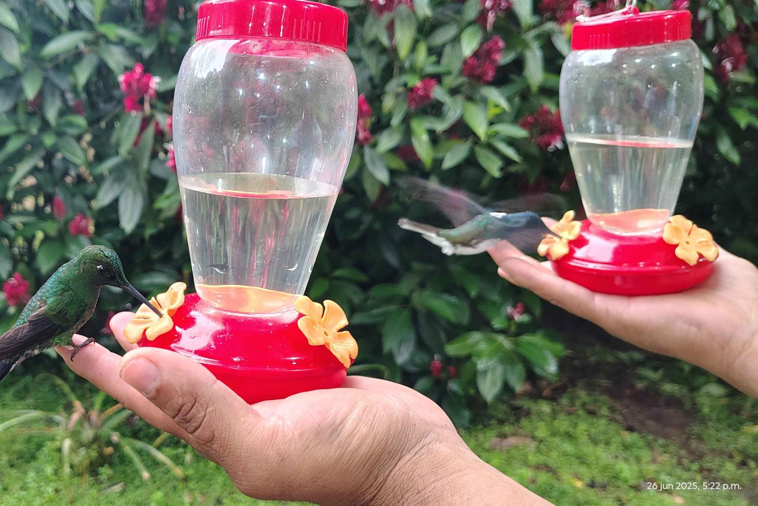 Hele dagstur i Mindo, alt inklusive med transport fra Quito.