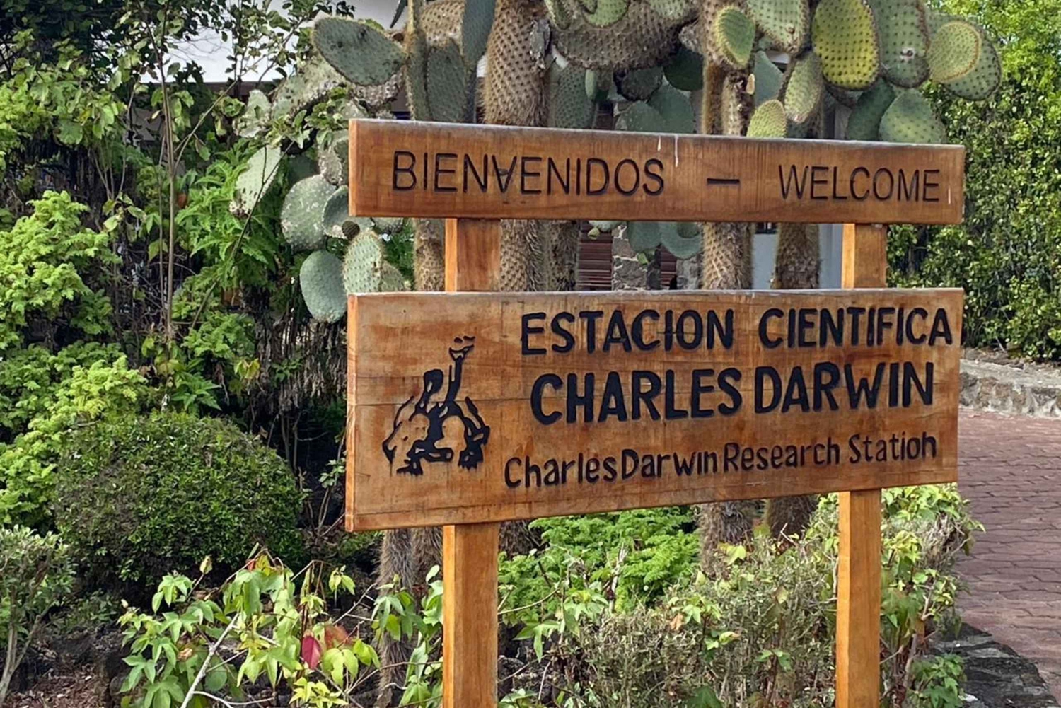 Galápagos : visite guidée de 5 jours avec hébergement