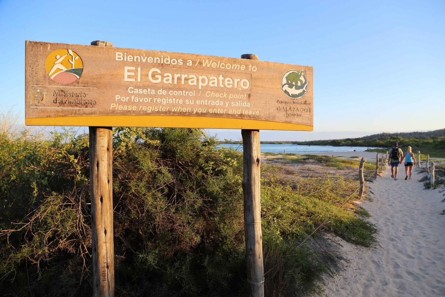 Галапагосы: 5-дневный тур в сердце архипелага