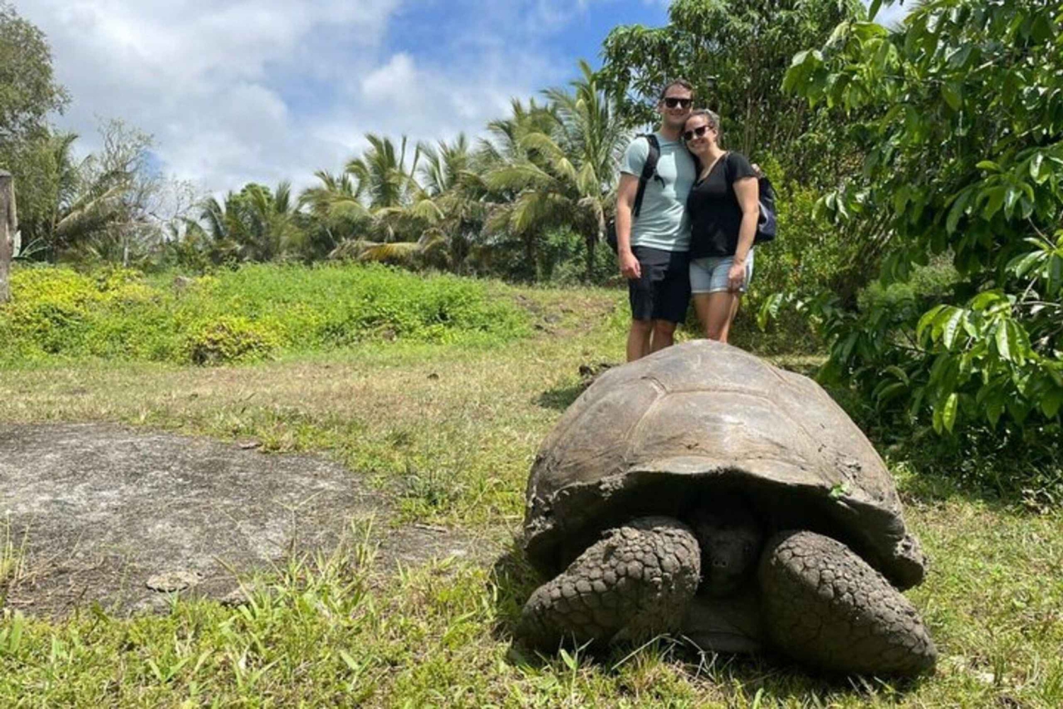 Galapagos: tour delle tartarughe giganti, dei tunnel di lava e dei crateri
