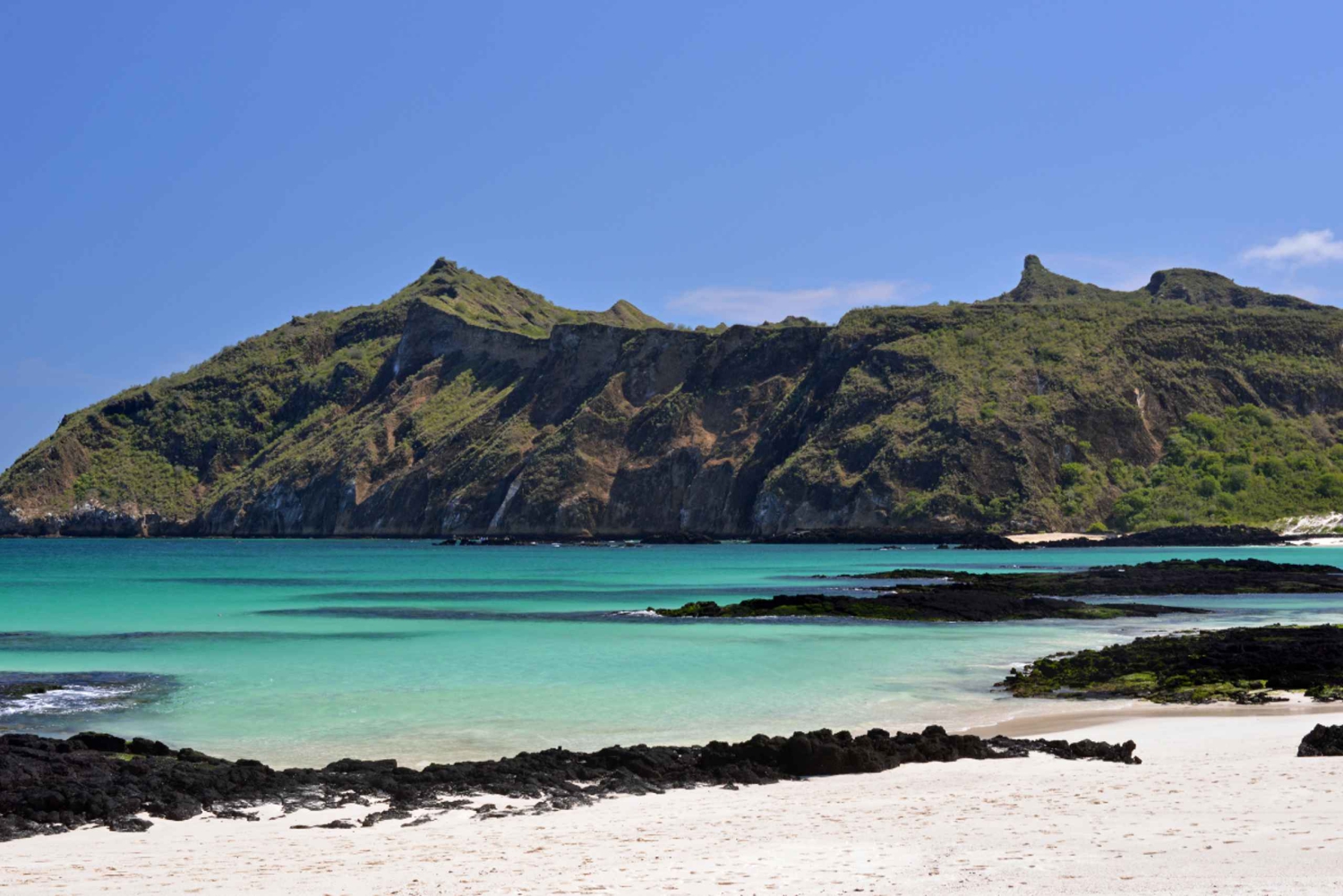 Galápagos: Isla Plazas heldagsutflykt