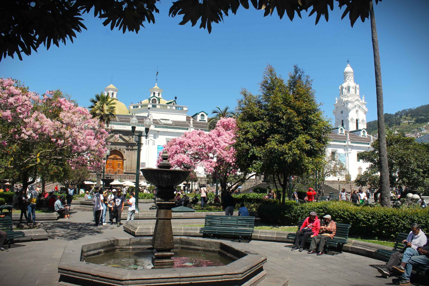 GALÁPAGOS: Øyhopping, inkludert Quito 12 dager