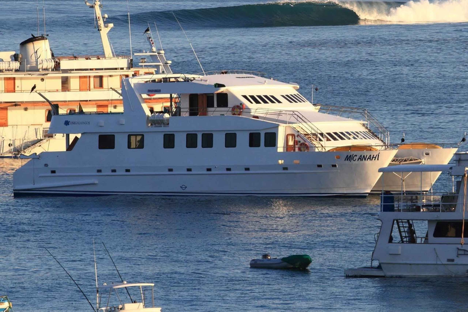 Galapagos: Surfstunde mit einem einheimischen Profi-Surfer