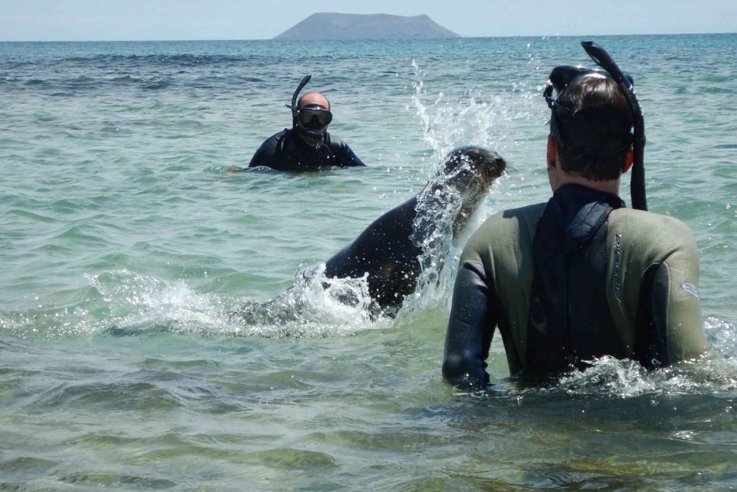 Galapagos: Rundresa med öluffning 7 dagar - 6 nätter