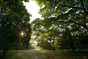 Guayaquil: Cerro Blanco Protected Forest Guided Tour