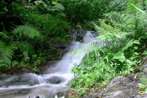 Guayaquil: Cerro Blanco Protected Forest Guided Tour