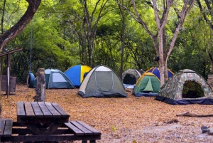Guayaquil: Cerro Blanco Protected Forest Guided Tour