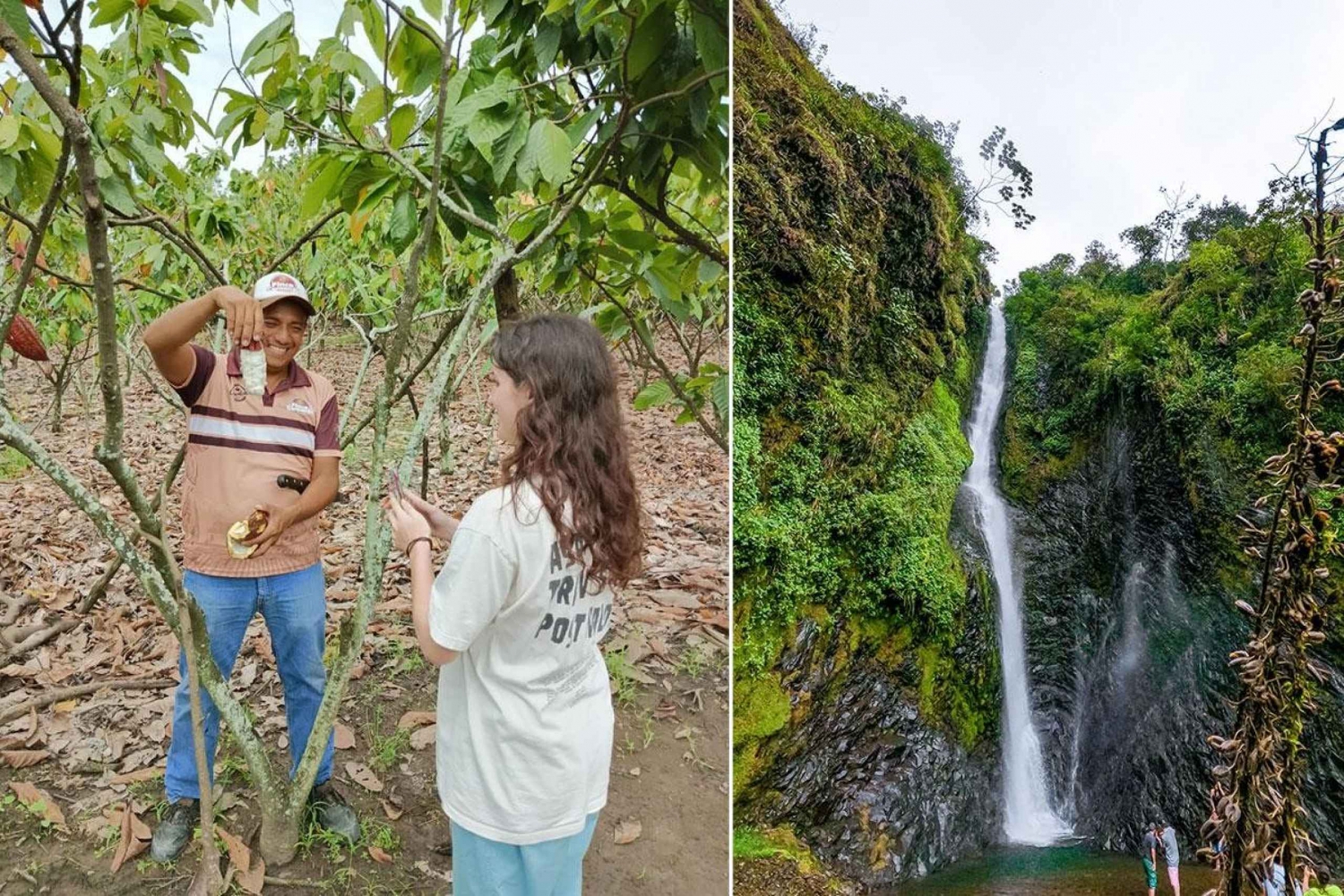 Visita y almuerzo en el bosque nuboso y la granja de cacao de Guayaquil