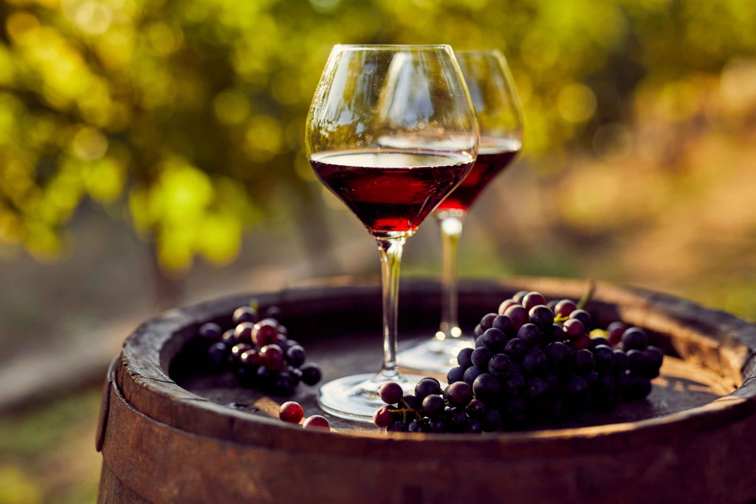 Guayaquil: winnica Dos Hemisferios z lunchem (grupowo)