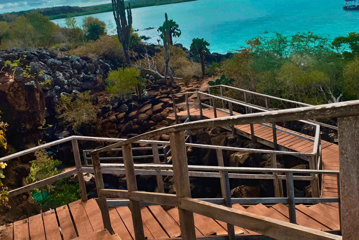 VISITE D'UNE DEMI-JOURNÉE - BAIE DE SANTA CRUZ - 5 SITES DE VISITE ÉTONNANTS