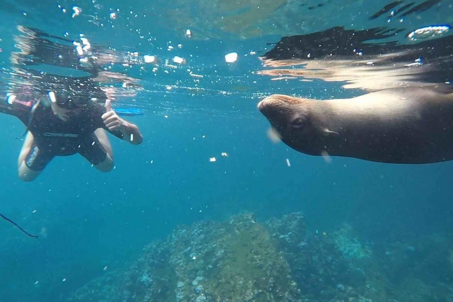 Кикер-рок, целый день